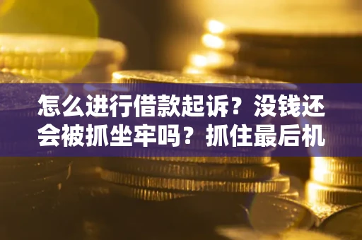 武汉怎么进行借款起诉？没钱还会被抓坐牢吗？抓住最后机会！