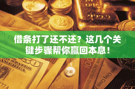 武汉借条打了还不还？这几个关键步骤帮你赢回本息！