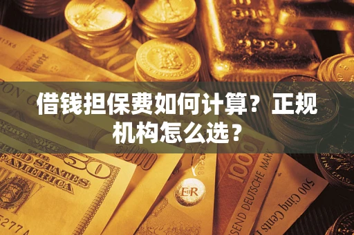 武汉借钱担保费如何计算？正规机构怎么选？