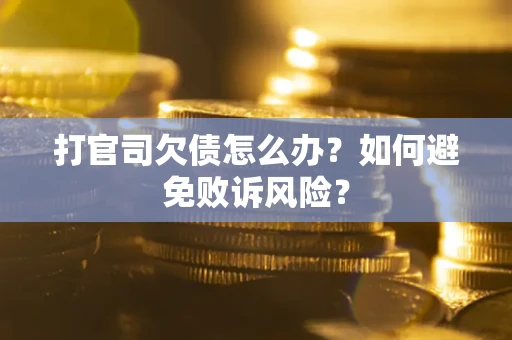 武汉打官司欠债怎么办？如何避免败诉风险？