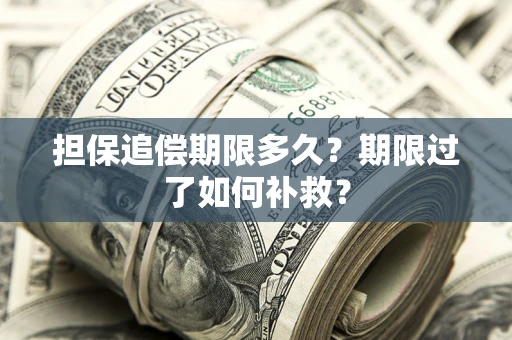武汉担保追偿期限多久？期限过了如何补救？