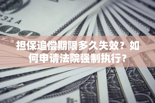 武汉担保追偿期限多久失效？如何申请法院强制执行？