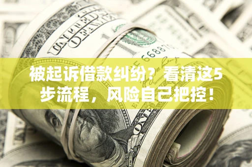 武汉被起诉借款纠纷？看清这5步流程，风险自己把控！