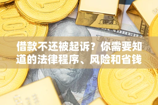 武汉借款不还被起诉？你需要知道的法律程序、风险和省钱技巧