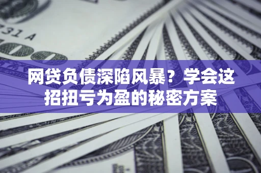 武汉网贷负债深陷风暴？学会这招扭亏为盈的秘密方案