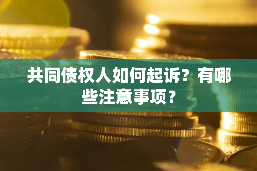 武汉共同债权人如何起诉？有哪些注意事项？